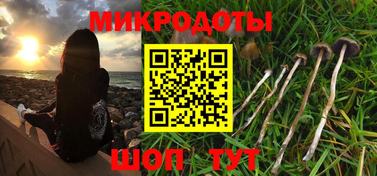 Галлюциногенные грибы GOLDEN TEACHER Ессентуки